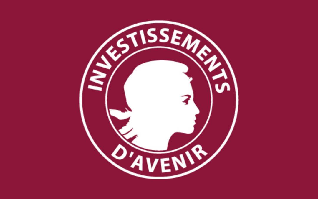 Université Paris Cité lauréate de l’appel à projets ExcellencES